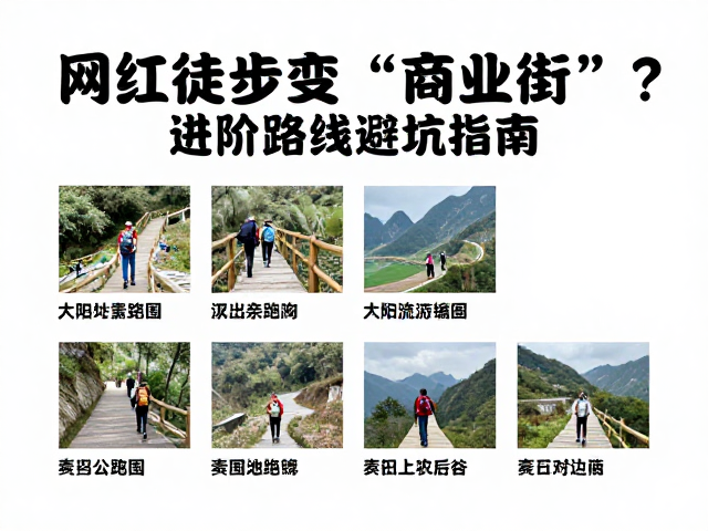 如何识别并避开“伪自然”路线