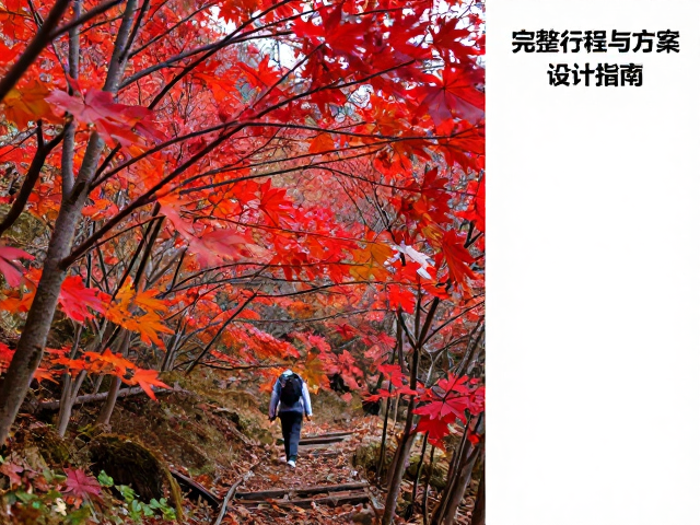 红叶徒步入门级路线,完整行程规划与方案设计指南