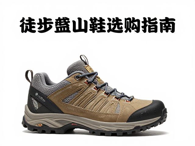 科学选鞋：从足部数据到场景适配