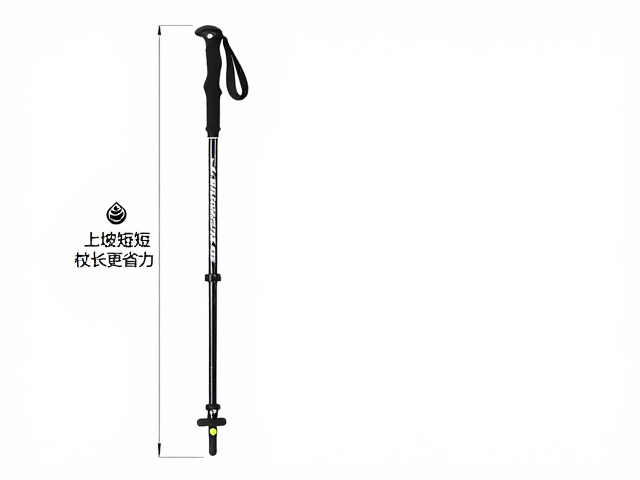 杖尖与杖底的功能分区