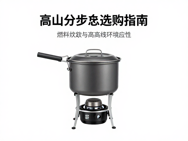 燃料特性与高海拔环境适应性