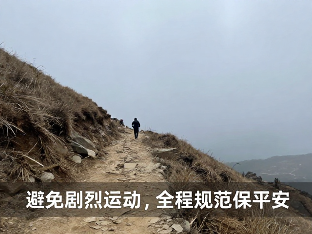 路径选择与风险规避