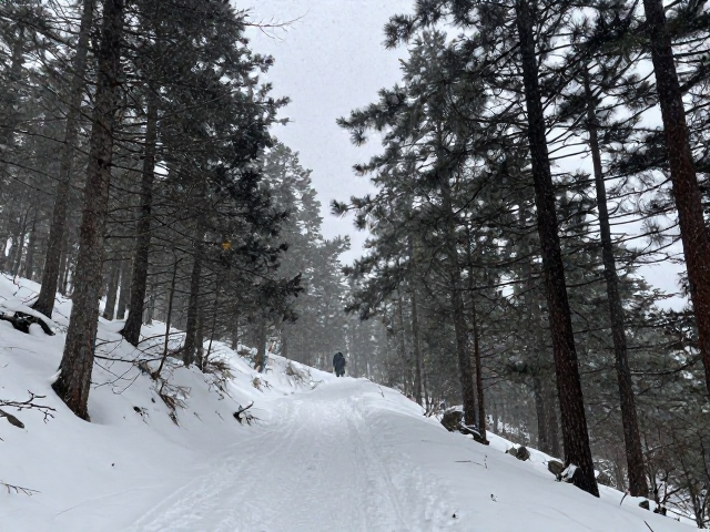 林线以上徒步,恶劣天气与雪崩风险评估全攻略