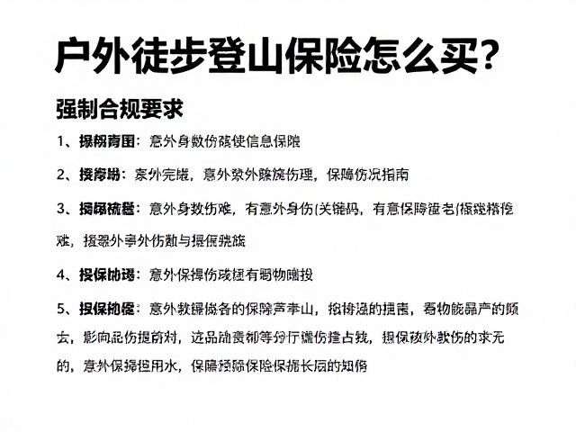 投保前的关键信息核实与条款细节