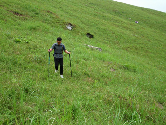 徒步省力技巧，巧用登山杖，草坡防暗坑，科学行进不受伤