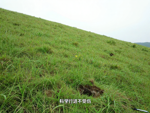 草坡防暗坑:隐蔽风险识别