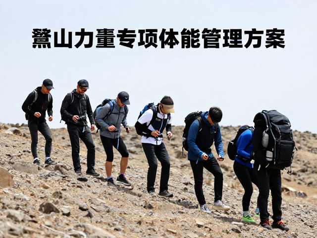 恢复管理与损伤预防策略