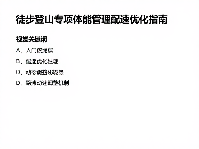数据监控与动态调整机制