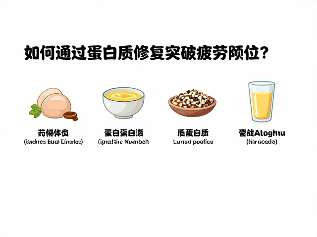 优质蛋白质的摄入策略与吸收窗口