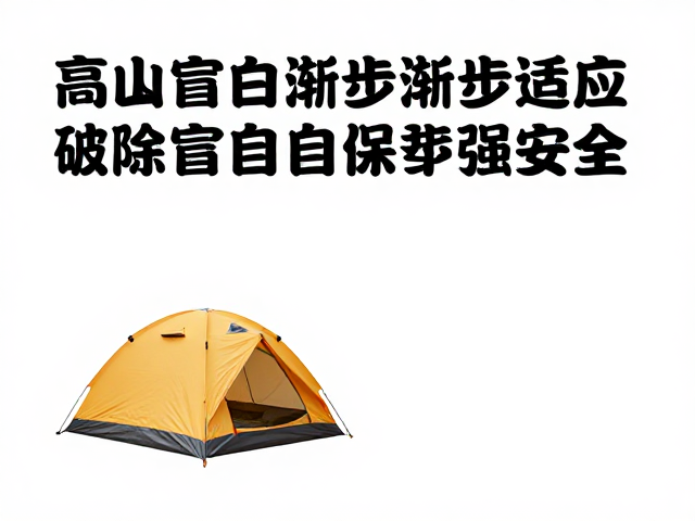 破除盲目逞强与风险决策