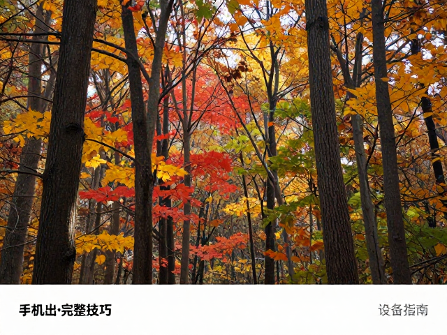 秋季彩林徒步摄影,手机出片完整技巧与设备指南