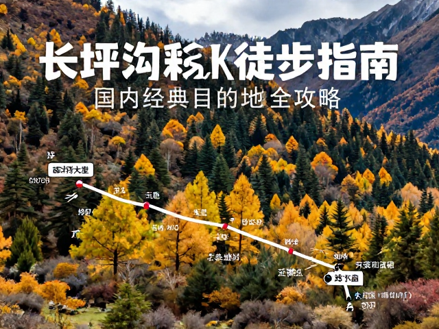 交通方式与抵达路线