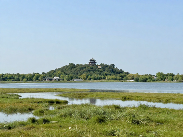 湿地生态特征与核心观景点