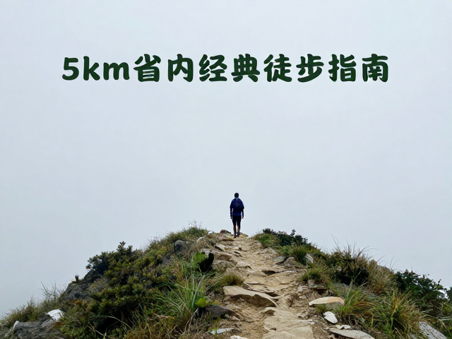 时间管理与节奏控制