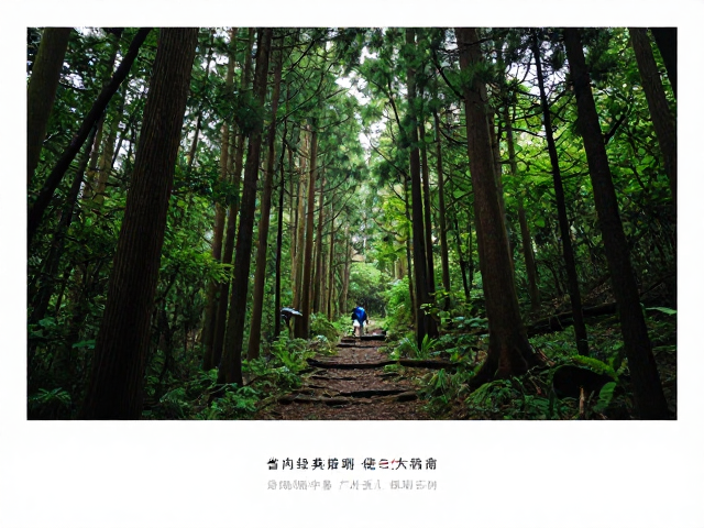 无痕山林:尊重自然的可持续法则