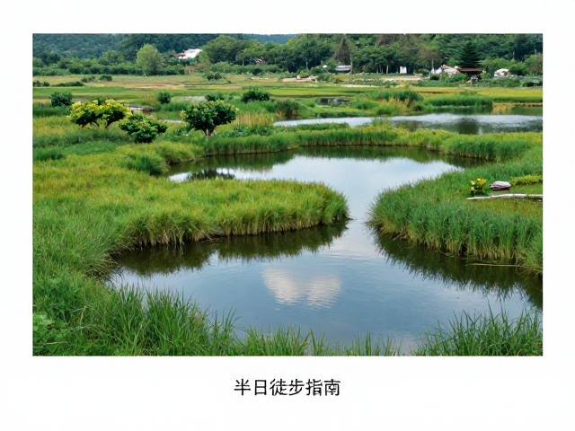 无痕山林原则与生态保护实践