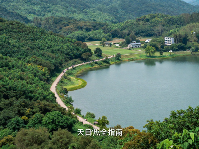 天目湖：丘陵地带的森林康养步道