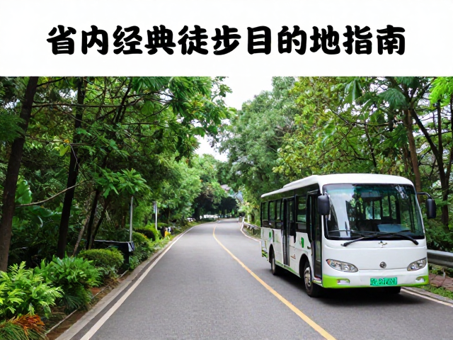 省内经典徒步目的地指南,森林公园步道与景区摆渡车全解析