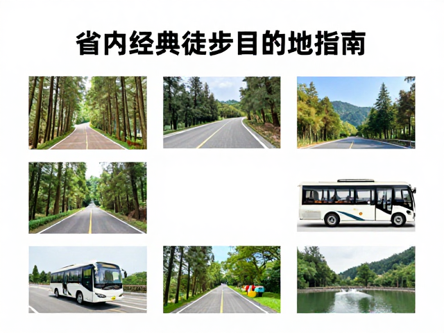 生态保护规范与无痕山林准则
