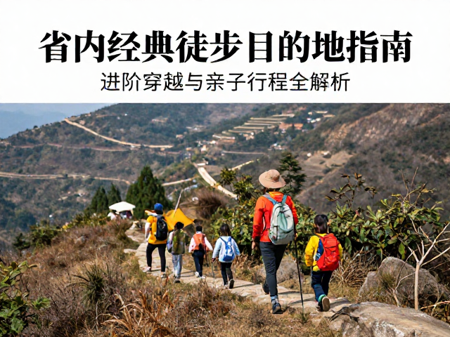 季节性特征与最佳出行窗口