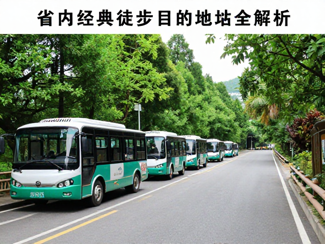 景区摆渡车运营体系与接驳逻辑