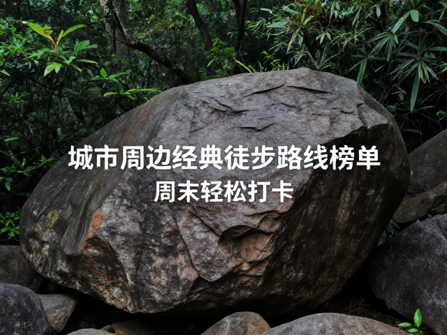 上海淀山湖环湖步道：江南水乡的湿地漫步