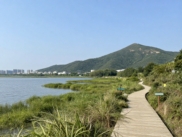 环保准则与无痕山林实践