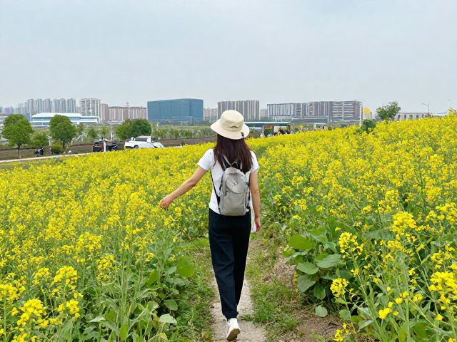 城市周边徒步推荐,经典路线,低爬升,绝佳花海人像取景地全解析