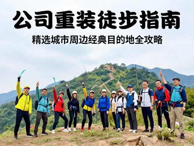 团队纪律与安全风险管理