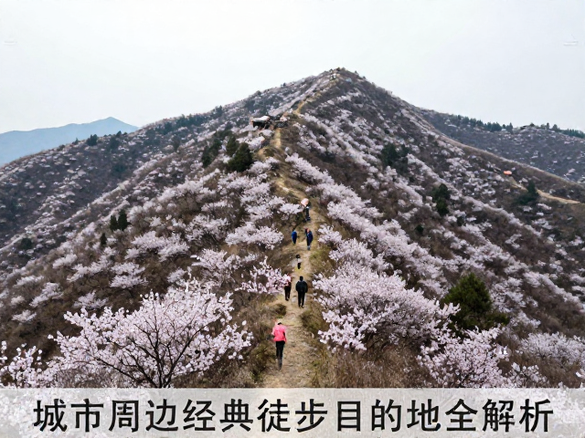 安全规范与无痕山林原则