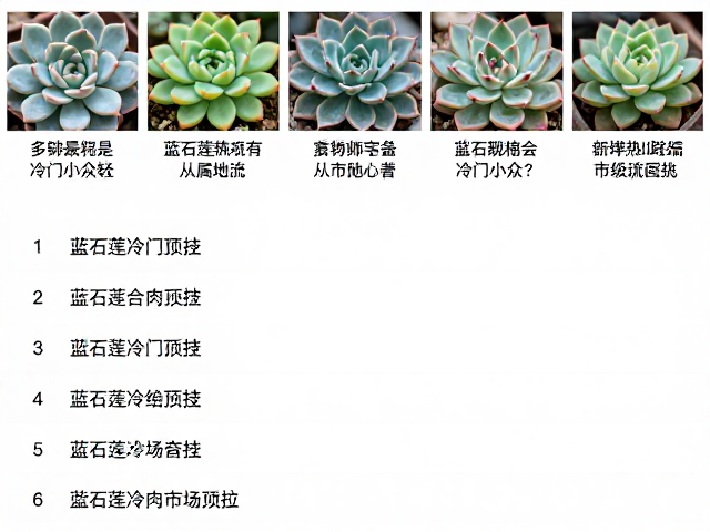 多肉热门等级排行，蓝石莲是冷门小众还是市场顶流？