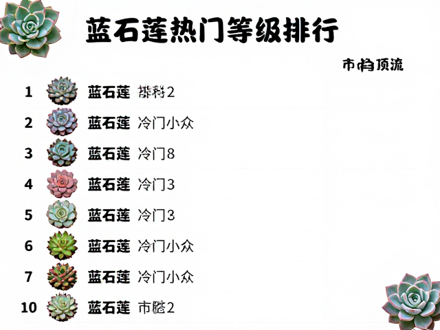 蓝石莲的生物学特性与养护门槛分析