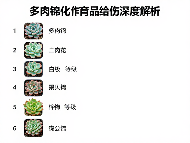 养护挑战与长期持有价值