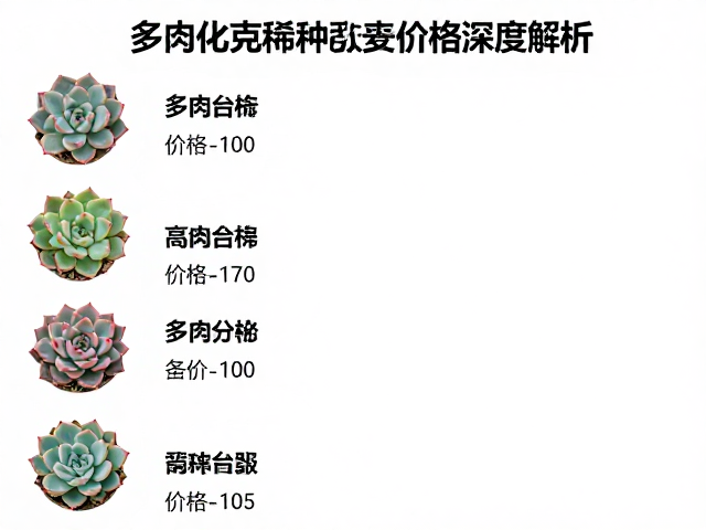 价格影响因素与价值波动逻辑