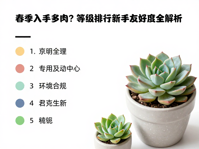 春季入手多肉？热门等级排行与新手友好度全解析