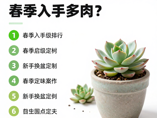春季换盆与定植的操作要点