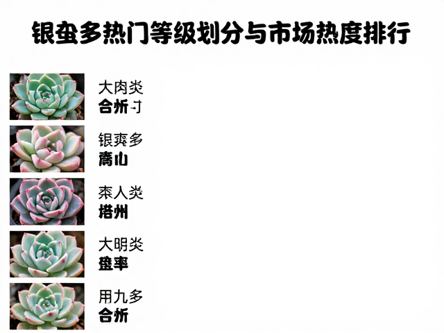 银蚕多肉热门等级划分与市场热度排行，花卉市场最新趋势