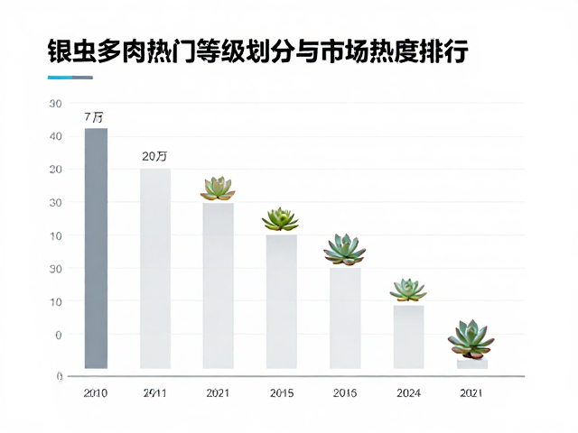 市场热度演变与消费趋势分析