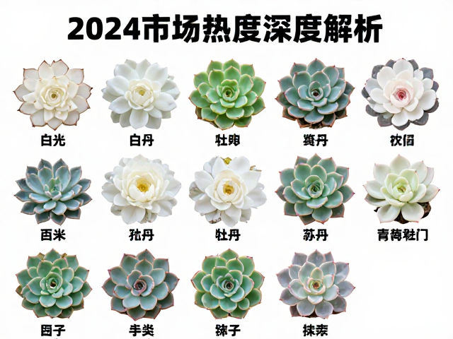 2024年市场热度背后的养护需求变化