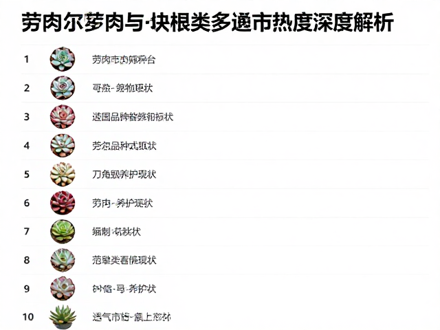 多肉热门等级排行，劳尔与块根类多肉市场热度深度解析