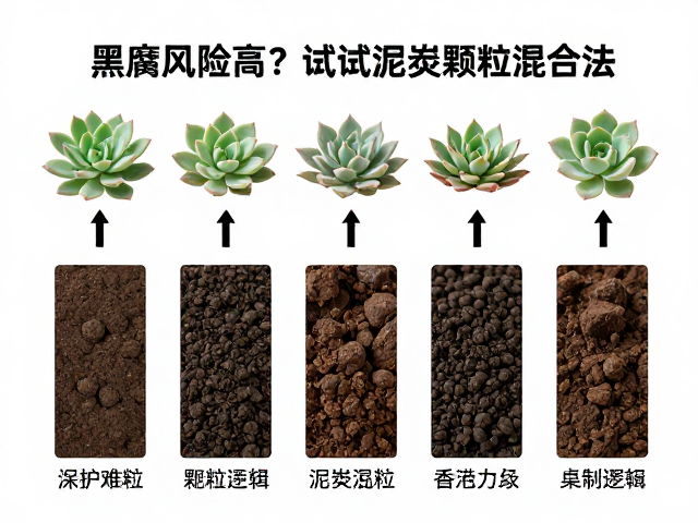 泥炭颗粒混合法的核心逻辑与配比策略