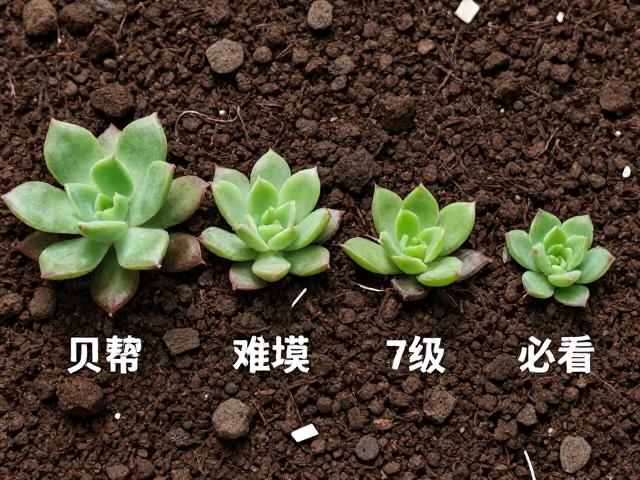 泥炭颗粒混合:构建透气保水的理想基质