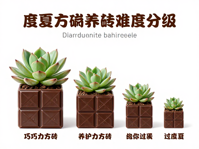 安全度夏的浇水策略与土壤选择