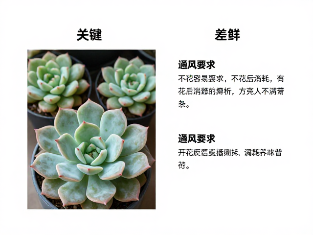 养护策略对通风与消耗的调控