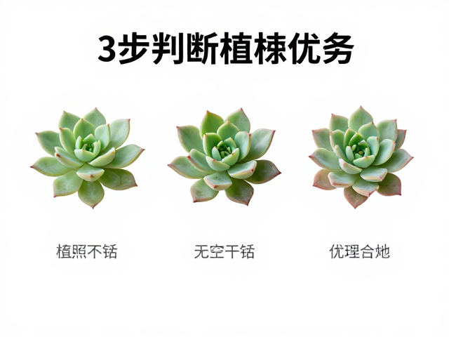 三步构建植株健康评估体系