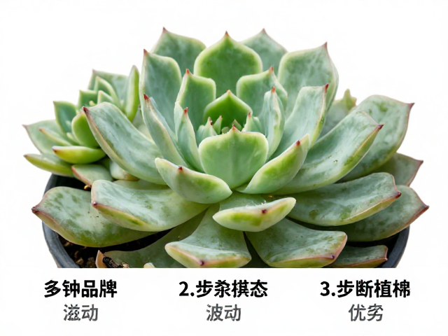 服盆期的应激反应与状态波动解析