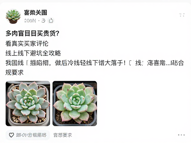 线上选购陷阱：图文与实物的巨大落差