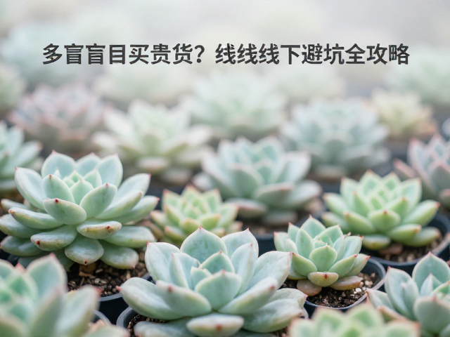 多肉盲目买贵货？看真实买家评价，线上线下避坑全攻略