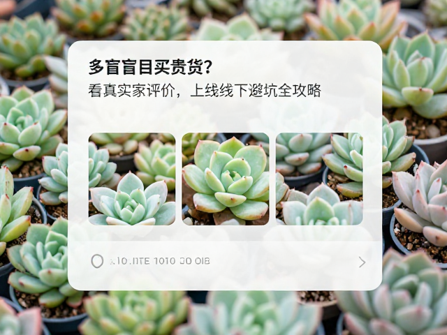 线下实地挑选：感官判断与即时体验