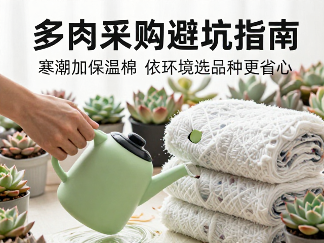 浇水与通风：低温期的关键操作细节